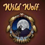 Wild Wolf